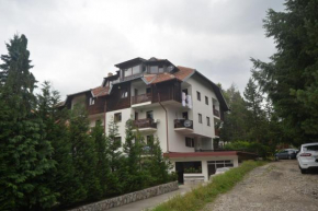 Отель Apartment Buena Vista  Златибор
